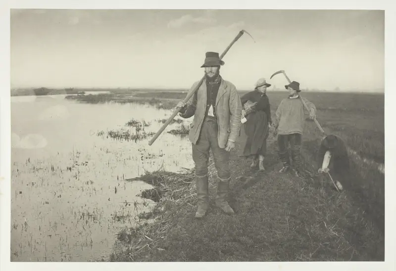 Coming Home from the Marshes