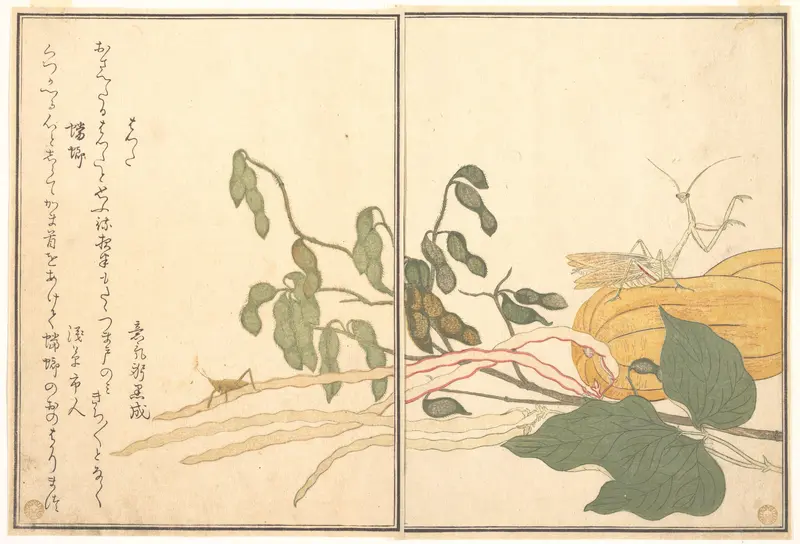 Cone-headed Grasshopper or Locust, (batta); Praying Mantis (Tōrō or Kamakiri), from the Picture Book of Crawling Creatures (Ehon mushi erami)
