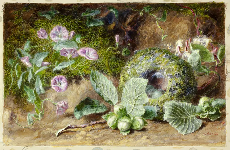 Convobuli and Nest Wall Art by Jabez Bligh - High-Resolution Digital Print