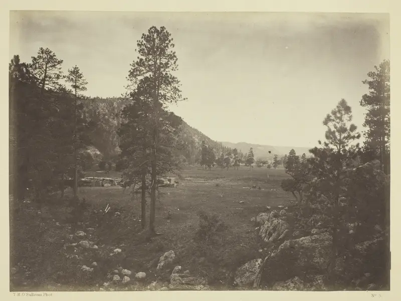 Cooley's Park, Sierra Blanca Range, Arizona
