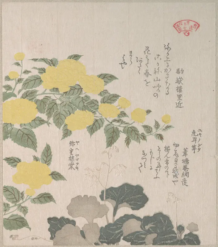 Corchorus (or Yellow Rose) and Creeping Saxifrage Wall Art by Kubo Shunman - High-Resolution Digital Print