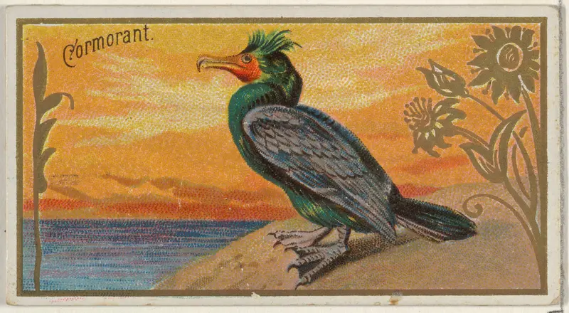 Cormorant, from the Game Birds series (N13) for Allen & Ginter Cigarettes Brands Wall Art by Allen & Ginter - High-Resolution Digital Print