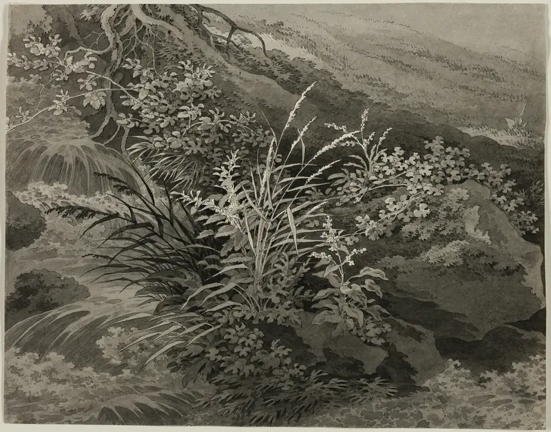Corner of the Meadow with Reeds and Other Plants Wall Art by Adrian Zingg - High-Resolution Digital Print