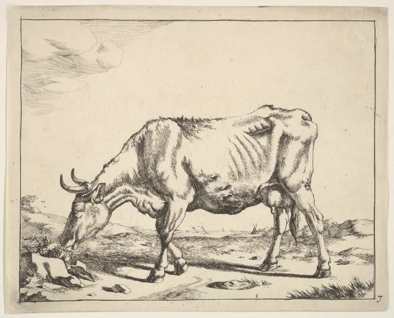 Cow, after Paulus Potter Wall Art by Marcus de Bye - High-Resolution Digital Print