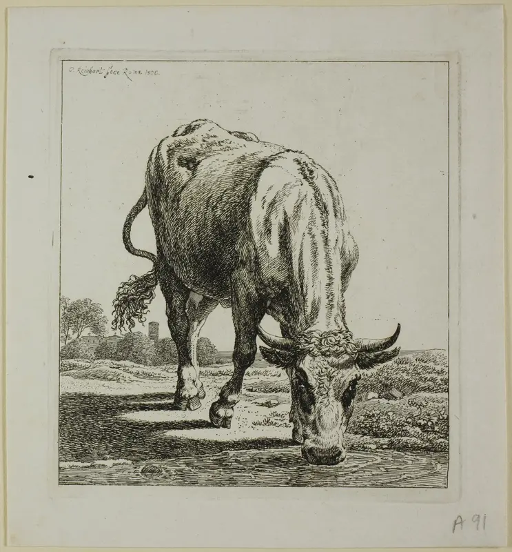 Cow Drinking, from Die Zweite Thierfolge Wall Art by Johann Christian Reinhart - High-Resolution Digital Print