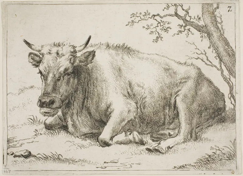 Cow Lying Beside a Tree, plate 7 from Eight Bulls and Cows Wall Art by Paulus Potter - High-Resolution Digital Print