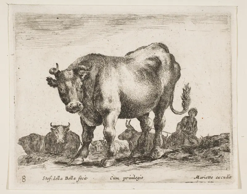 Cow, plate 8 from "Various Animals" (Diversi Animali) Wall Art by Stefano della Bella - High-Resolution Digital Print