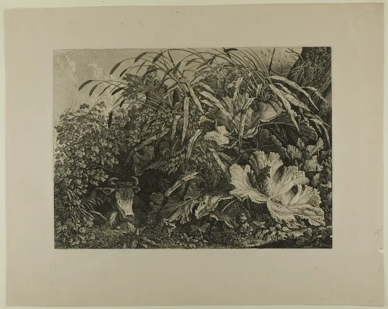 Cow Standing in a Swamp Wall Art by Carl Wilhelm Kolbe, the elder - High-Resolution Digital Print