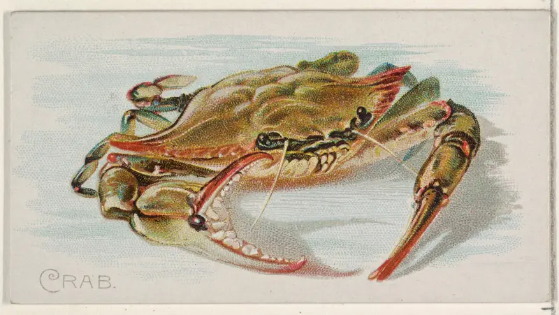 Crab, from the Fish from American Waters series (N8) for Allen & Ginter Cigarettes Brands Wall Art by Allen & Ginter - High-Resolution Digital Print