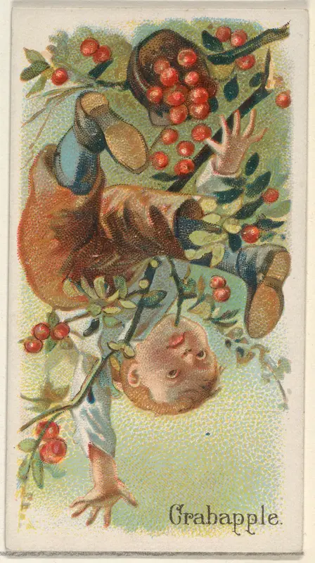 Crabapple, from the Fruits series (N12) for Allen & Ginter Cigarettes Brands Wall Art by Allen & Ginter - High-Resolution Digital Print