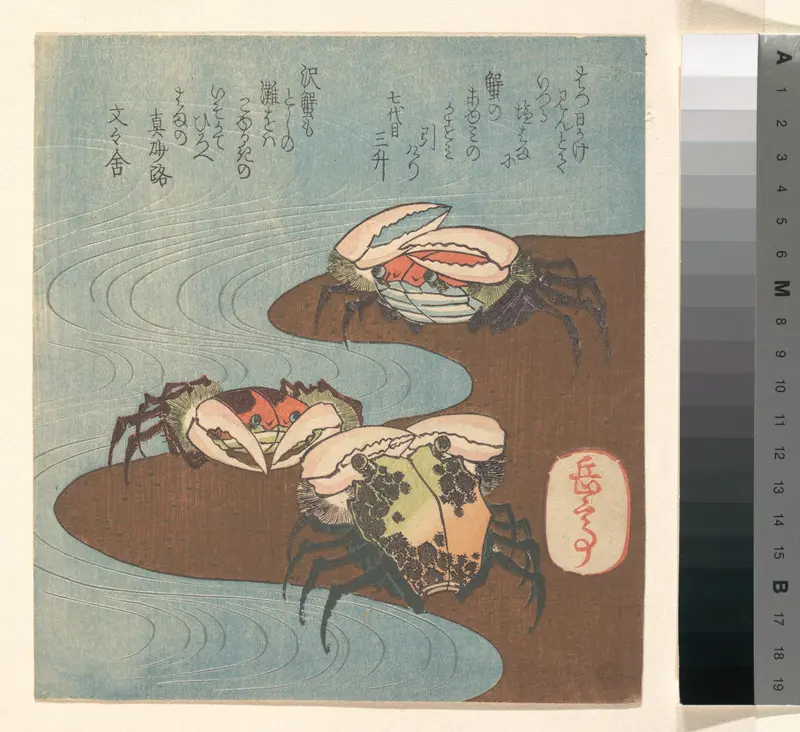 Crabs Near the Water's Edge