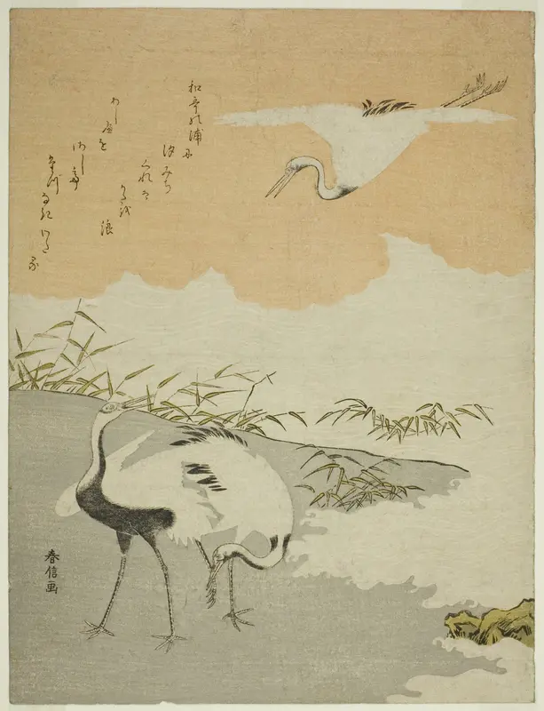 Cranes at the Sea Shore