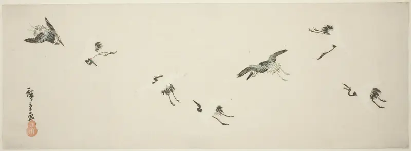 Cranes in flight