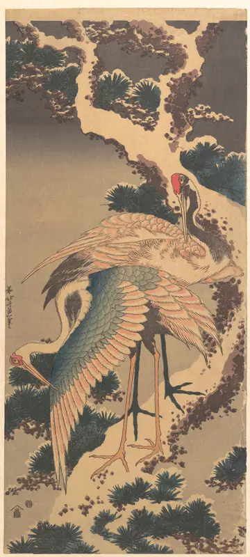 Cranes on Branch of Snow-covered Pine