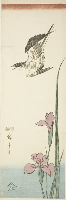 Cuckoo and iris