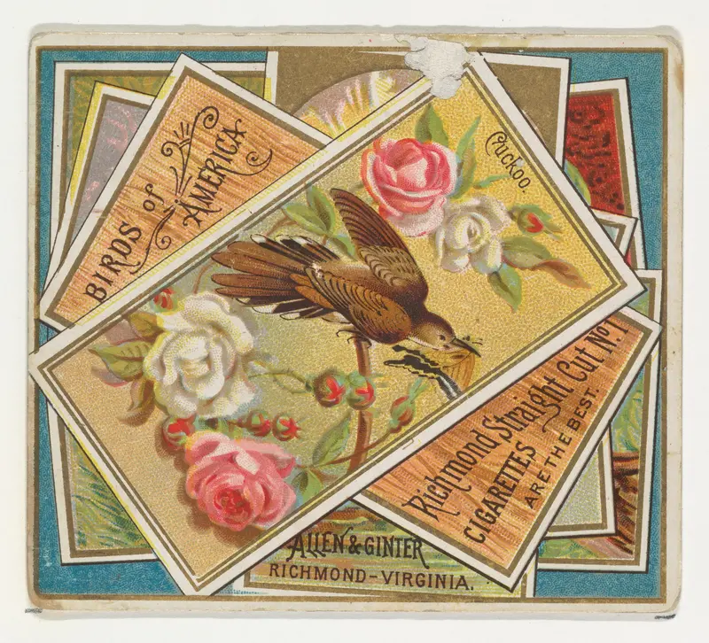 Cuckoo, from the Birds of America series (N37) for Allen & Ginter Cigarettes Wall Art by Allen & Ginter - High-Resolution Digital Print