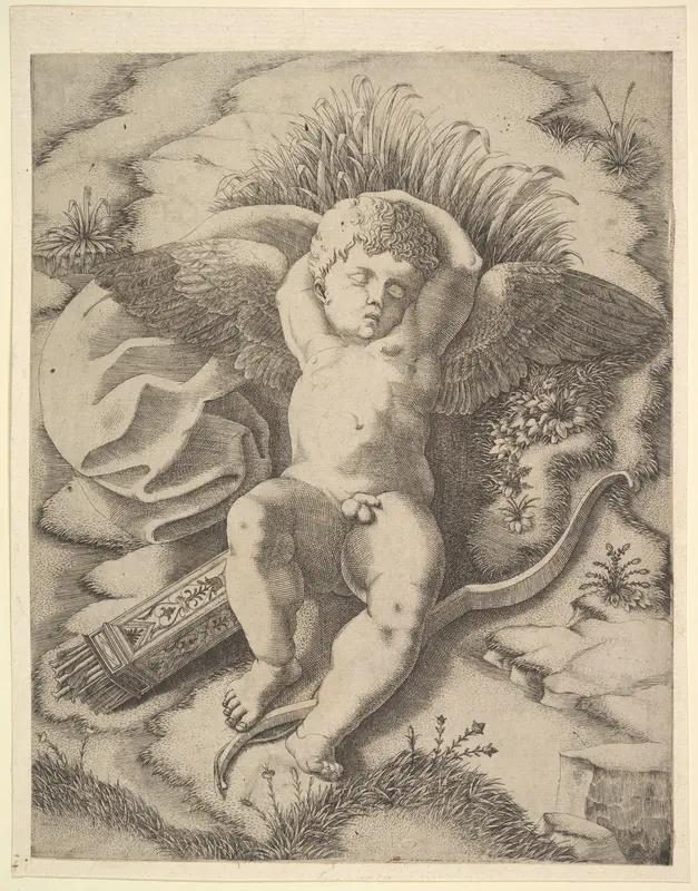 Cupid Sleeping Wall Art by Anonymous, Italian, 16th century - High-Resolution Digital Print