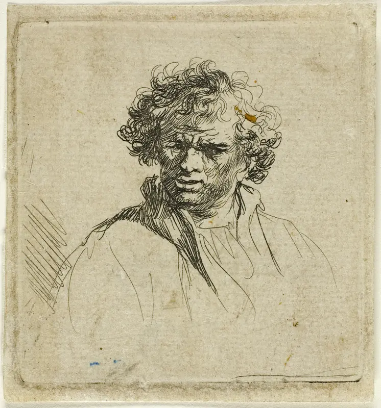 Curly Headed Man with a Wry Mouth Wall Art by Ferdinand Bol - High-Resolution Digital Print