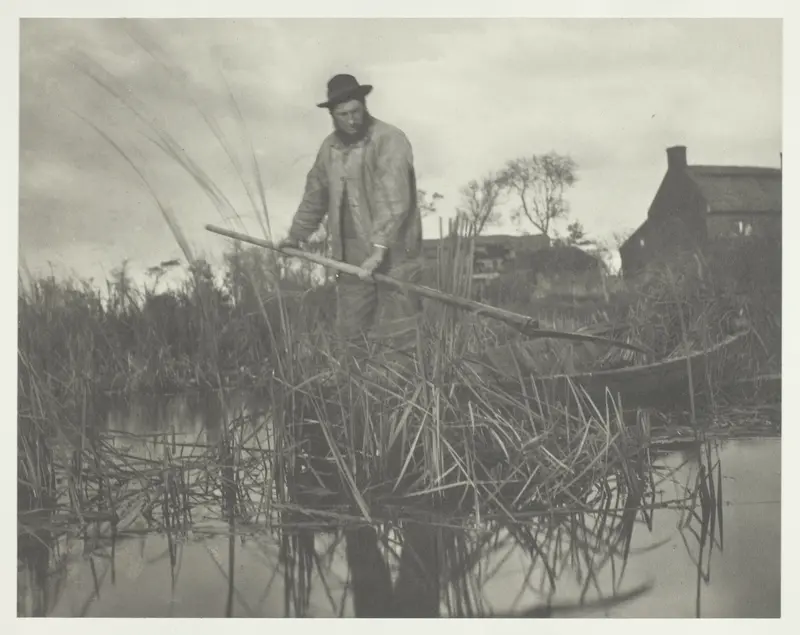 Cutting the Gladdon