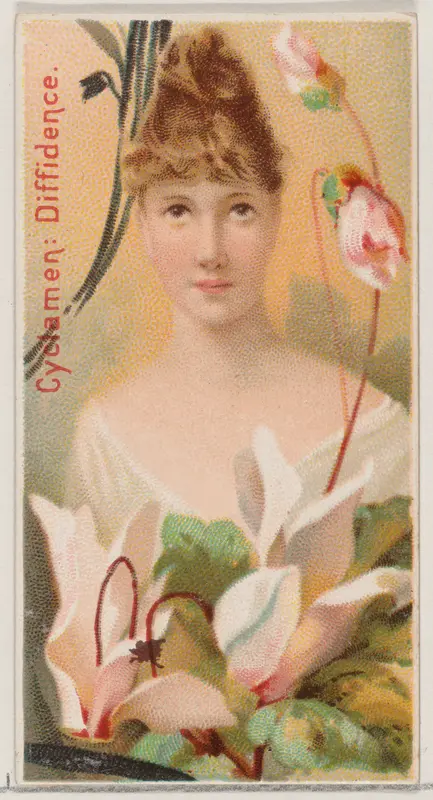 Cyclamen: Diffidence, from the series Floral Beauties and Language of Flowers (N75) for Duke brand cigarettes Wall Art by American Tobacco Company - High-Resolution Digital Print