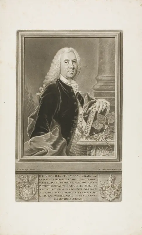 D. Christopher Jacob Trew, from Plantae Selectae Wall Art by Johann Jacob Haid - High-Resolution Digital Print