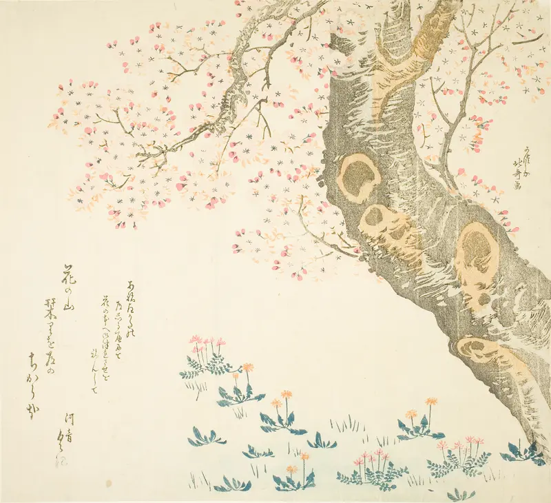 Dandelions and clovers beneath cherry tree
