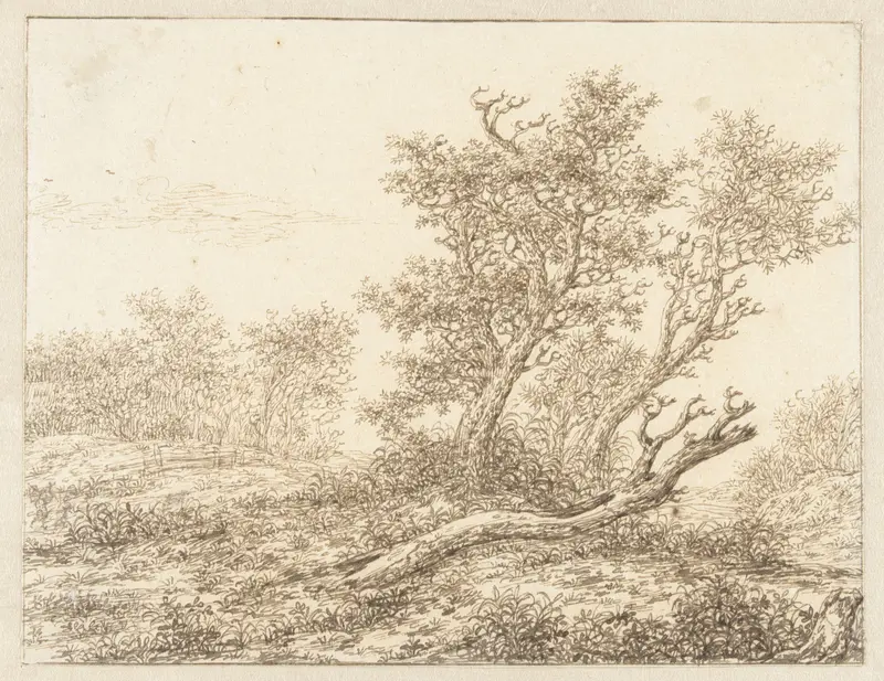 De dode boom Wall Art by Unknown - High-Resolution Digital Print