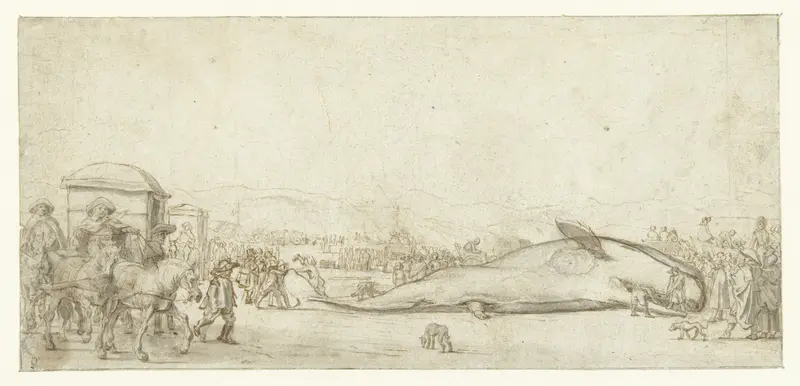 De gestrande potvis te Noordwijk in 1629 Wall Art by Esaias van de Velde - High-Resolution Digital Print