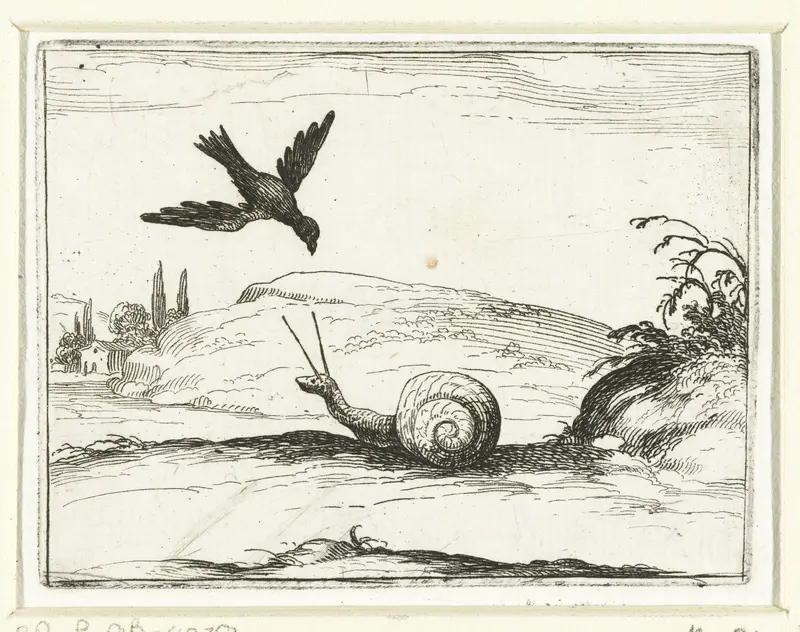 De slak en de raaf Wall Art by Jacques Callot - High-Resolution Digital Print