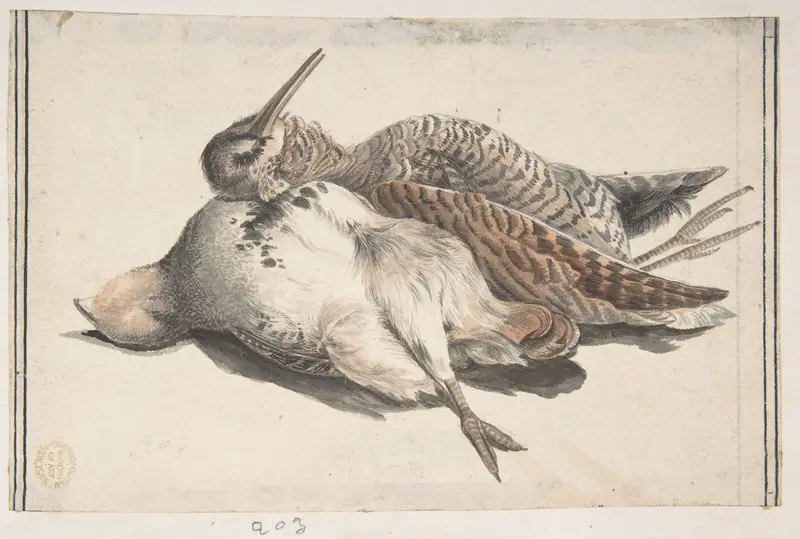 Dead Birds Wall Art by Count Giorgio Durante (Duranti) - High-Resolution Digital Print