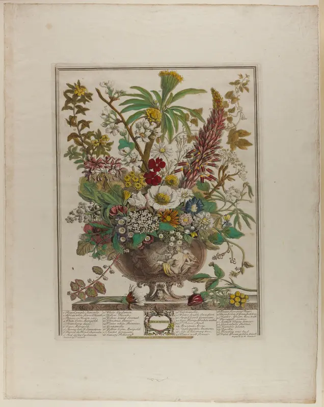 December, from Twelve Months of Flowers