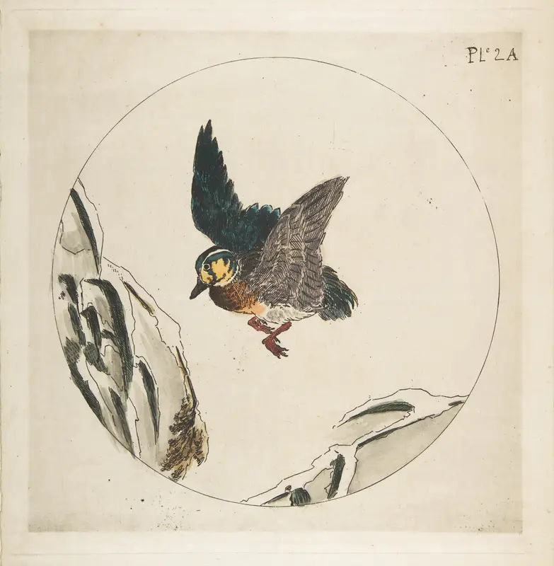 Decoration for a Plate: A Duck flying over Snow-covered Branches Wall Art by Félix Bracquemond - High-Resolution Digital Print