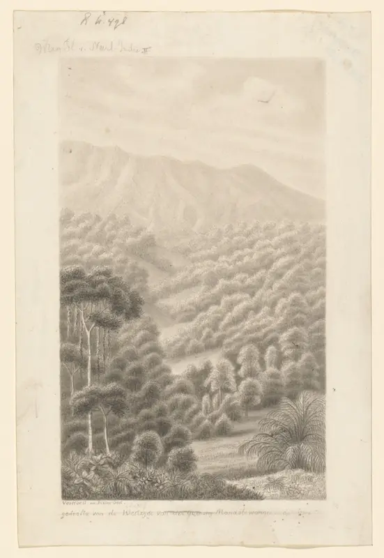 Deel van de westzijde van de berg Gunung Mandalawangi op Java Wall Art by Unknown - High-Resolution Digital Print
