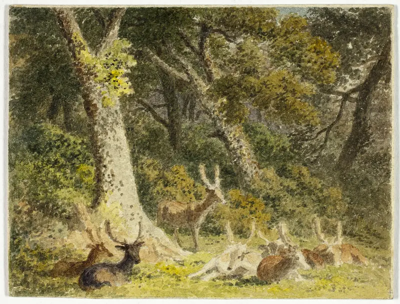 Deer Herd Resting Wall Art by Robert Hills - High-Resolution Digital Print