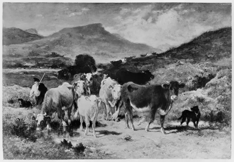Descent of Cattle from the Pyrenees