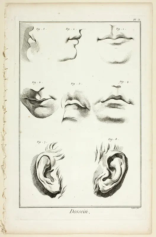 Design: Facial Anatomy from Encyclopédie Wall Art by A. J. Defehrt - High-Resolution Digital Print