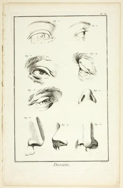 Design: Facial Anatomy from Encyclopédie Wall Art by Benoît-Louis Prévost - High-Resolution Digital Print