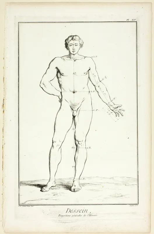 Design: General Proportions of the Male, from Encyclopédie Wall Art by A. J. Defehrt - High-Resolution Digital Print