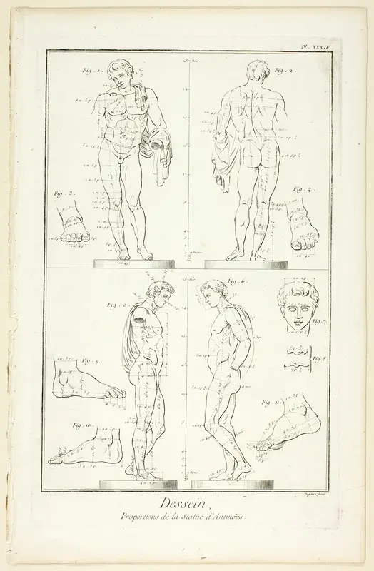 Design: Proportions of the Antinoüs Statue, from Encyclopédie Wall Art by A. J. Defehrt - High-Resolution Digital Print
