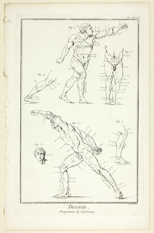 Design: Proportions of the Gladiator, from Encyclopédie Wall Art by Benoît-Louis Prévost - High-Resolution Digital Print