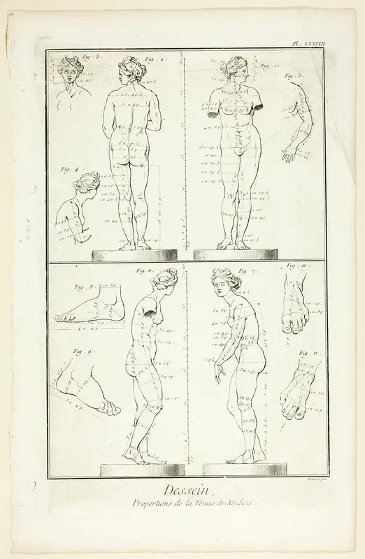 Design: Proportions of the Medici Venus, from Encyclopédie Wall Art by Benoît-Louis Prévost - High-Resolution Digital Print
