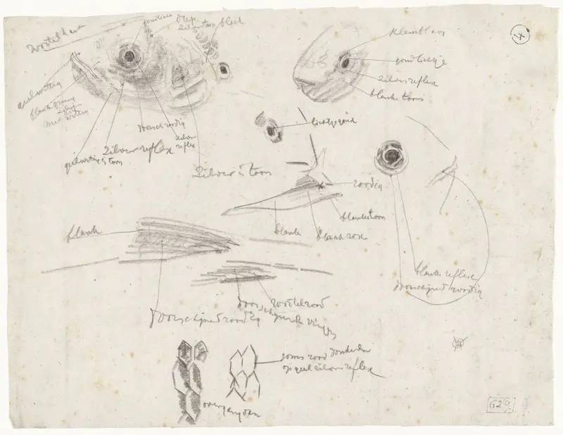 Detailstudies van vissen, met kleurnotities Wall Art by Gerrit Willem Dijsselhof - High-Resolution Digital Print