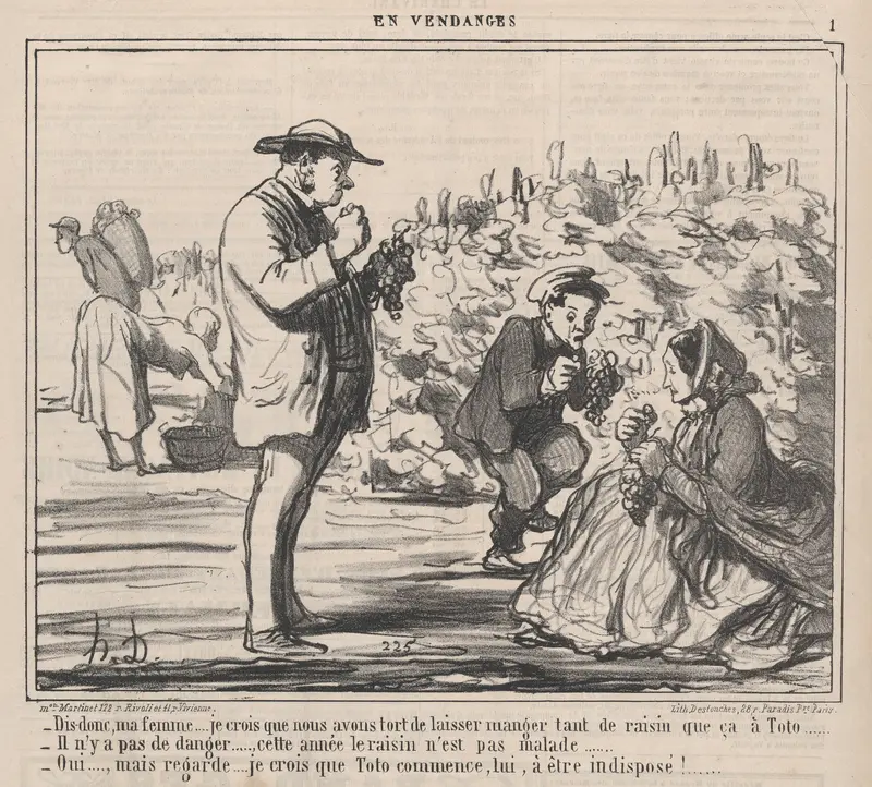 Dis-donc, ma femme.... je crois que nous avons tort de laisser manger tant de raisin que ça à Toto ....., from En Vendanges, published in Le Charivari, September 21, 1859 Wall Art by Honoré Daumier - High-Resolution Digital Print