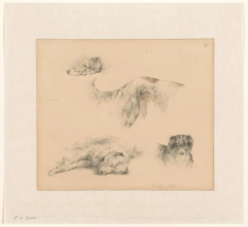 Diverse studies van honden Wall Art by Wouter Verschuur (1812-1874) - High-Resolution Digital Print