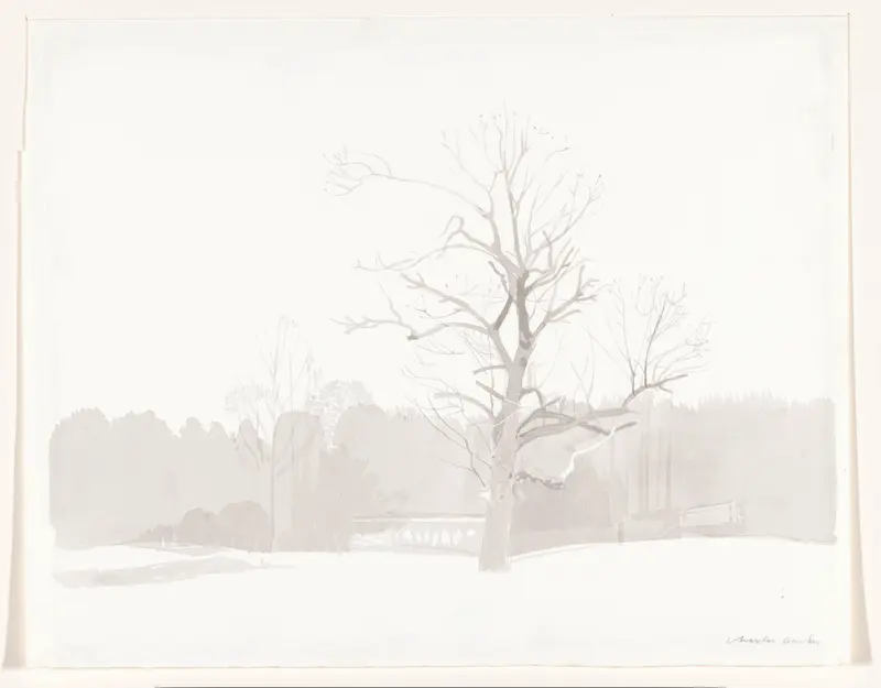 Dode boom in een park Wall Art by Unknown - High-Resolution Digital Print