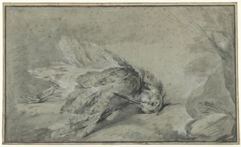 Dode houtsnip (Scolopax rusticola) Wall Art by Jean-Baptiste Oudry - High-Resolution Digital Print