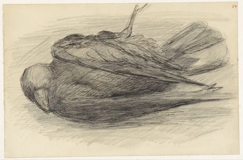 Dode vogel