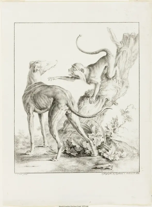 Dog and Monkey