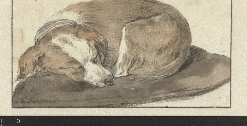 Dog Asleep on a Cushion Wall Art by Cornelis Saftleven - High-Resolution Digital Print