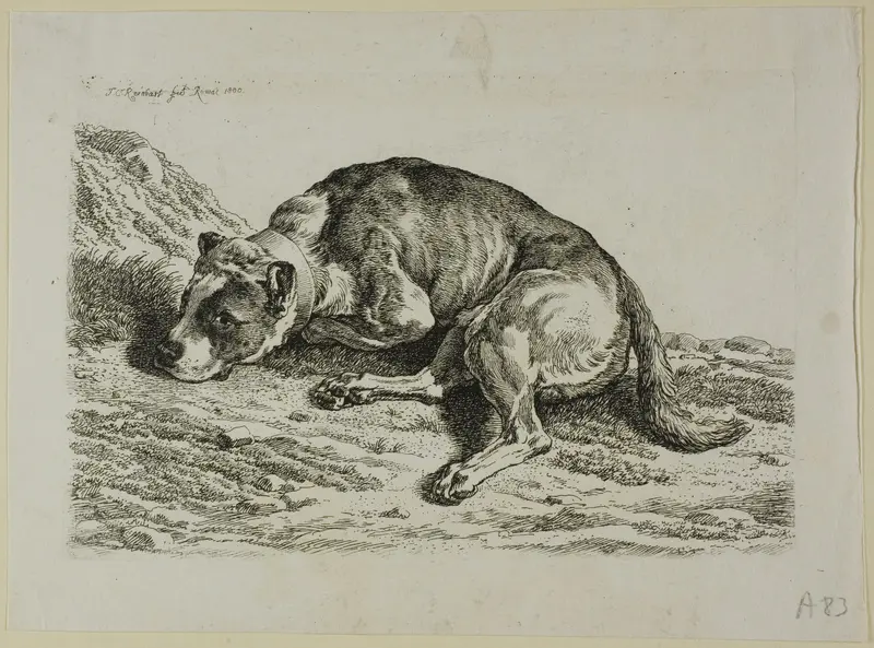 Dog Laying Down, from from Die Zweite Thierfolge Wall Art by Johann Christian Reinhart - High-Resolution Digital Print